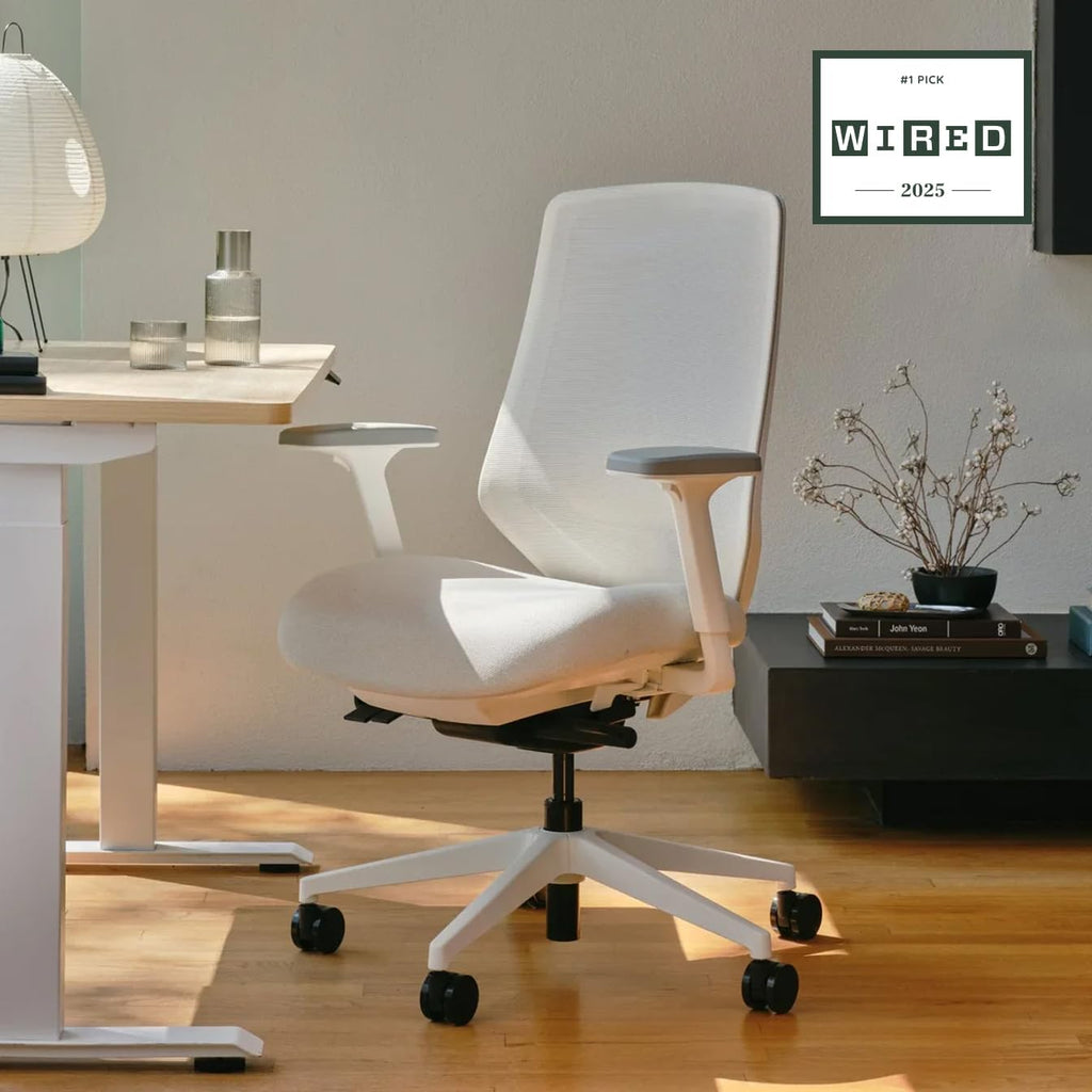 Branch Ergonomic Chair Pro Mesh Office Chair