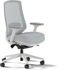 Branch Ergonomic Chair Pro Mesh Office Chair