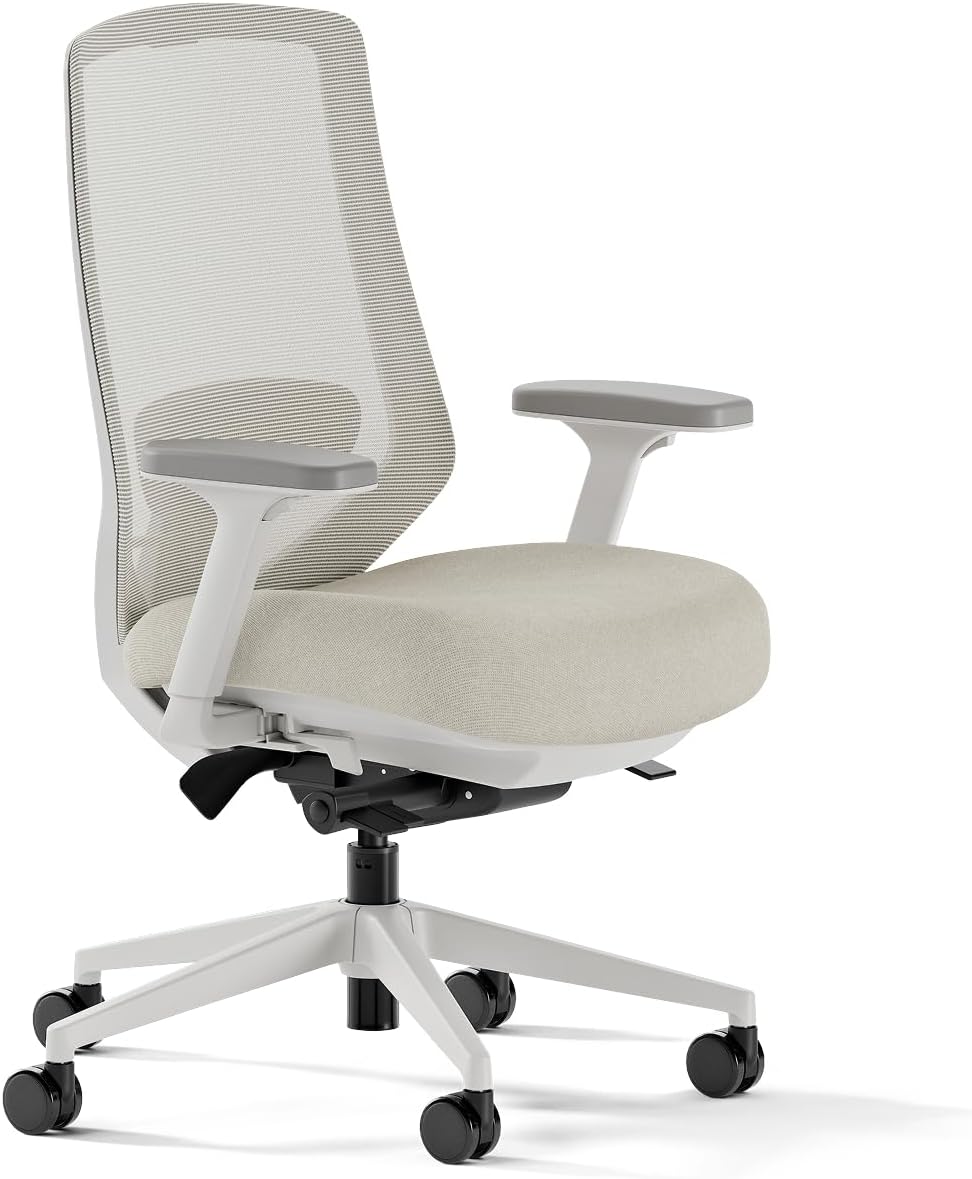 Branch Ergonomic Chair Pro Mesh Office Chair