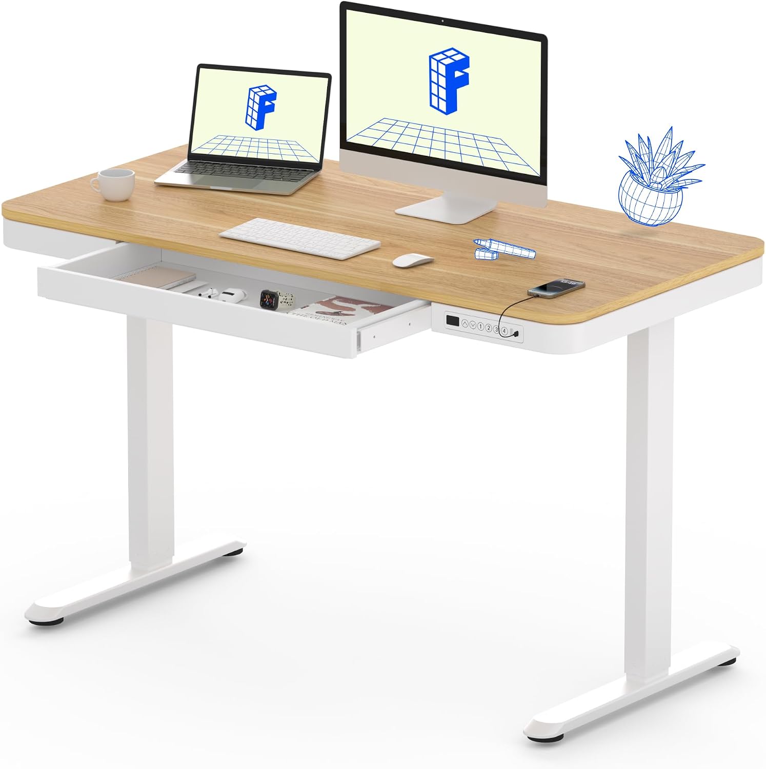 FLEXISPOT Electric Standing Desk