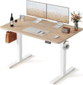 FEZIBO Electric Standing Desk