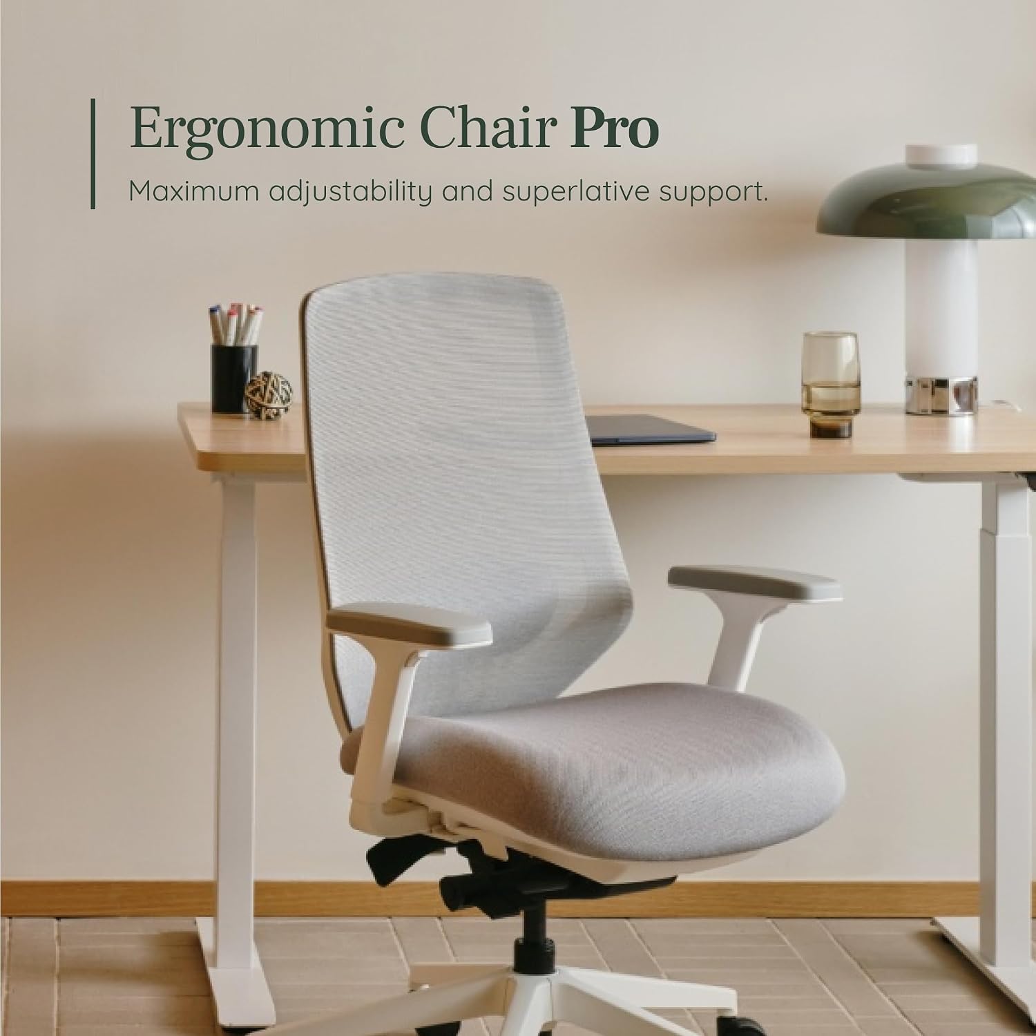 Branch Ergonomic Chair Pro Mesh Office Chair