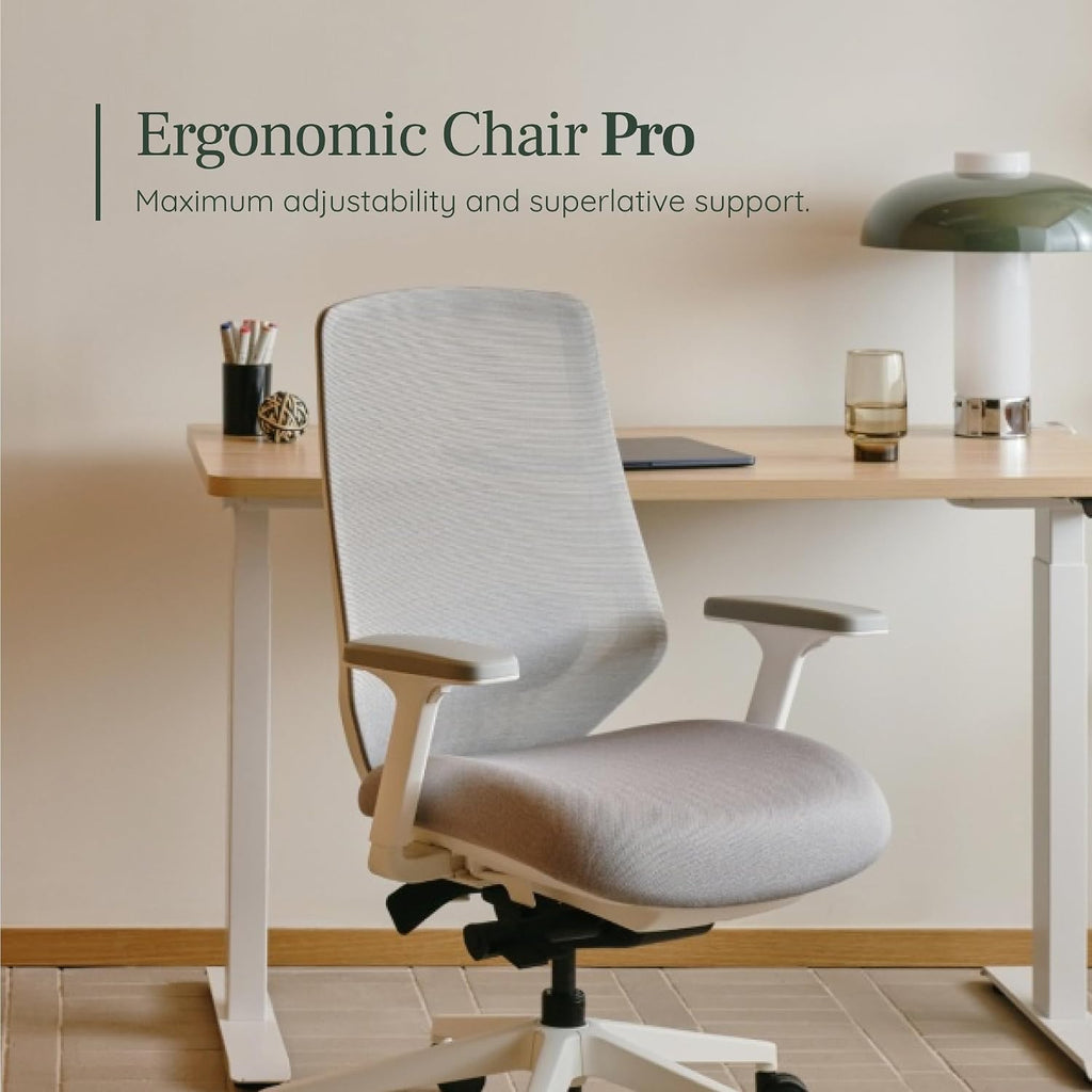 Branch Ergonomic Chair Pro Mesh Office Chair