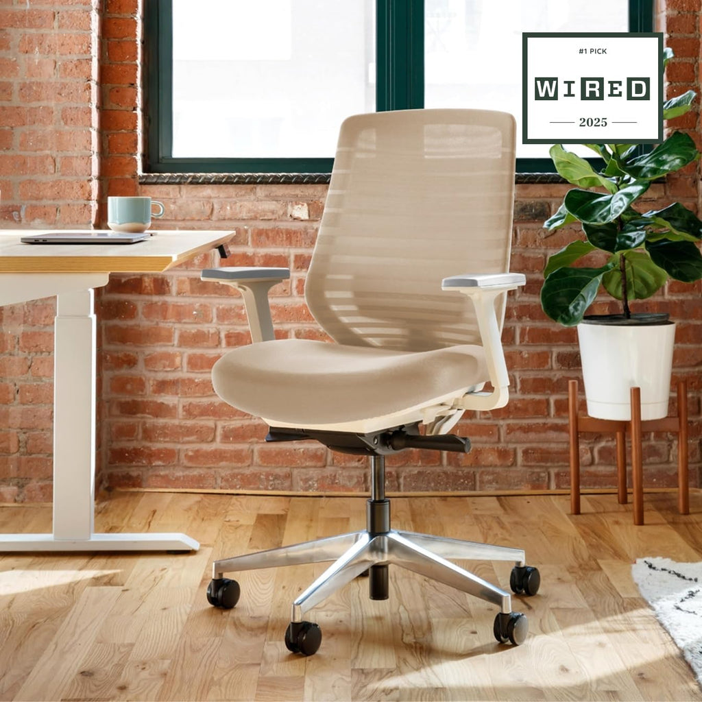 Branch Ergonomic Mesh Office Chair
