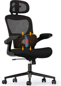 High Back Ergonomic Mesh Office Chair