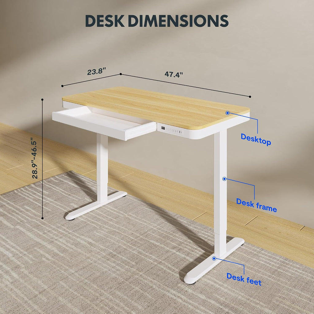 FLEXISPOT Electric Standing Desk