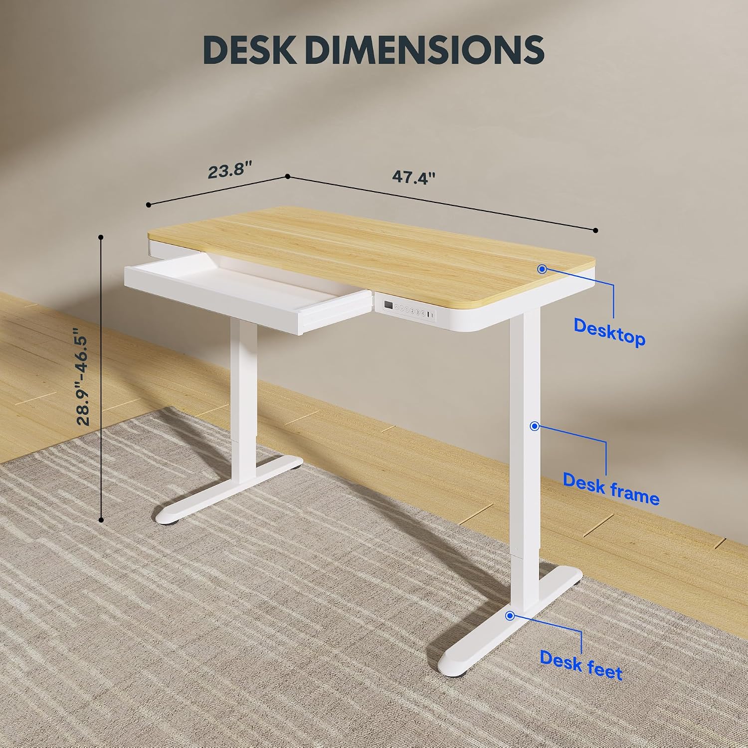 FLEXISPOT Electric Standing Desk