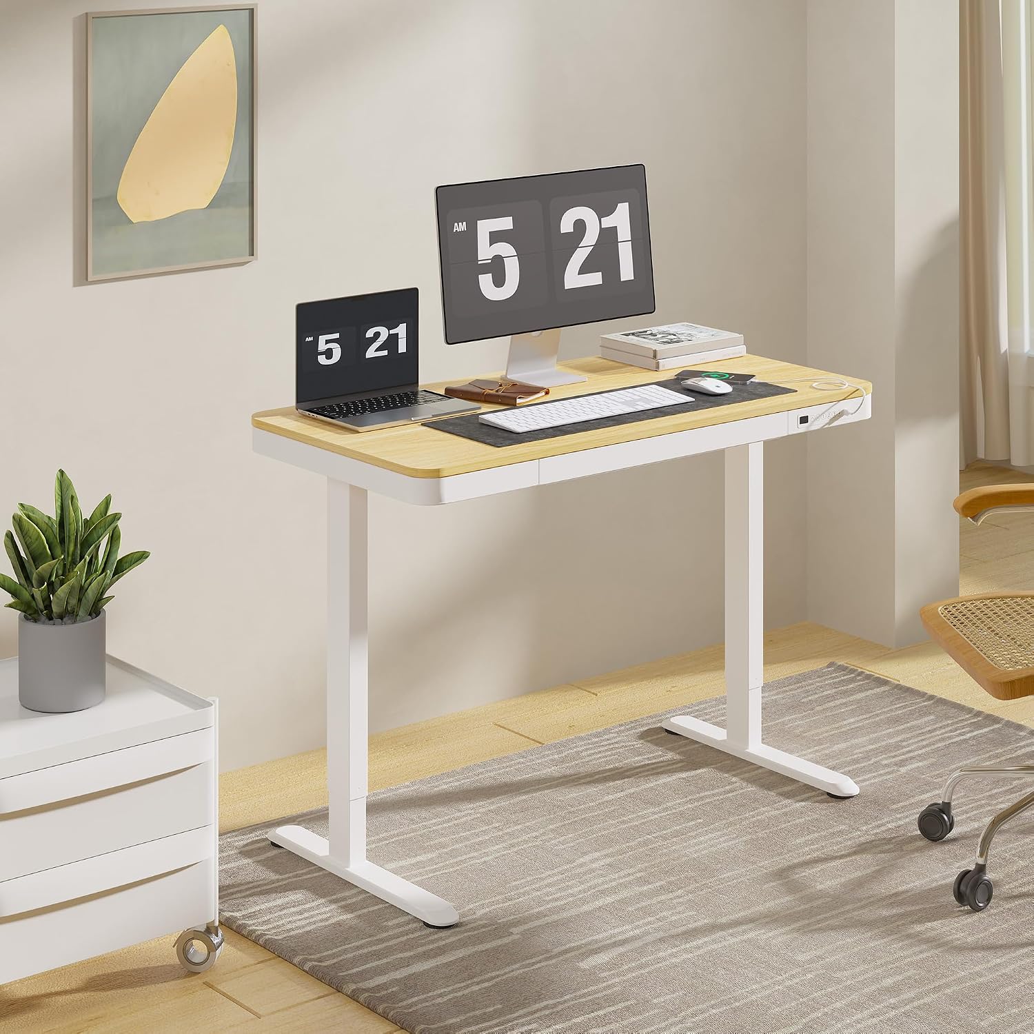 FLEXISPOT Electric Standing Desk