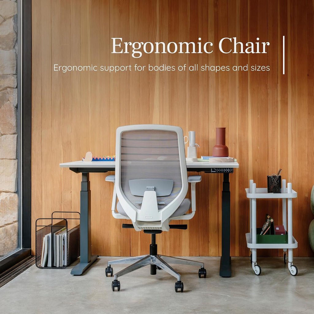 Branch Ergonomic Mesh Office Chair